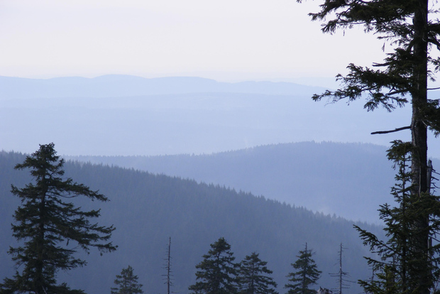 Harz Mountains Day Trip