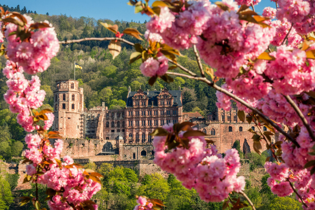 Heidelberg: Sightseeing Bus and Castle Tour