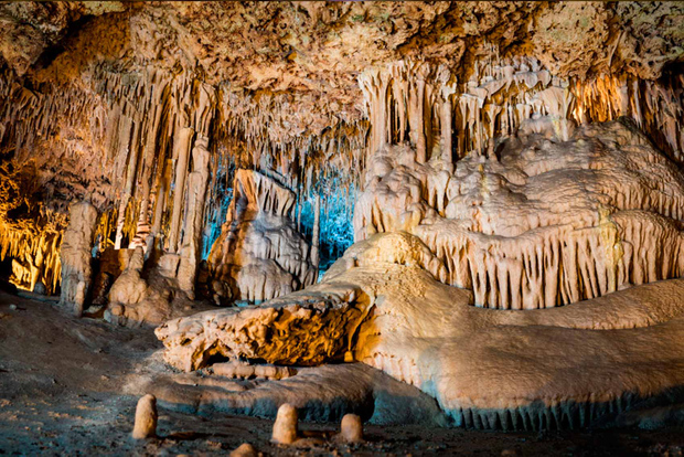 Mallorca: Hams grottor och Dinosaurieland Biljett med upphämtning