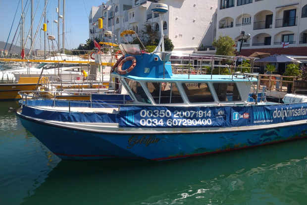 Gibilterra: tour in barca V.I.P. per avvistare i delfini