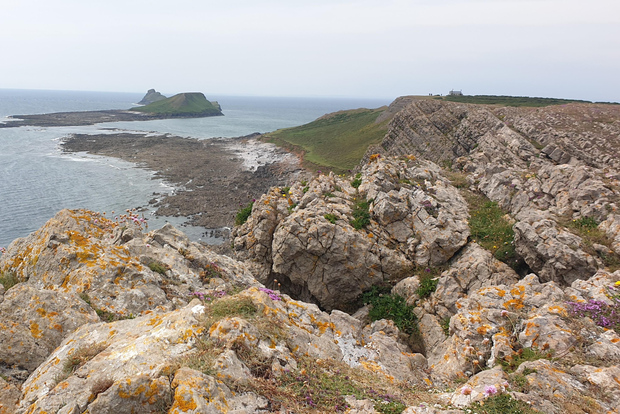Da Cardiff: tour della penisola di Mumbles e Gower