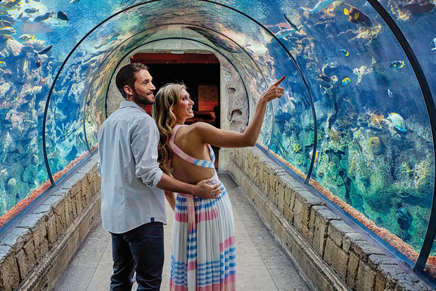 Las Vegas: Ticket für das Shark Reef Aquarium & VR-Erlebnis