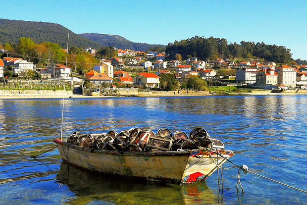 Von Santiago aus: Rías Baixas Galicia Meeresfrüchte & Wein Tagestour