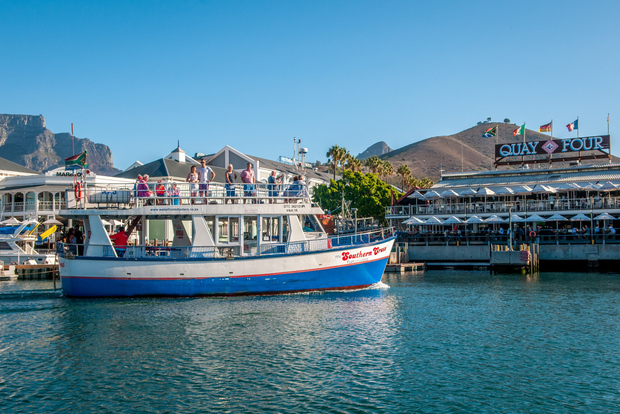Cape Town: 30 Minute Harbour Boat Cruise with Seal Watching