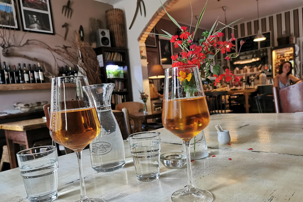 Da Bratislava: degustazione di vini biologici a Svaty Jur