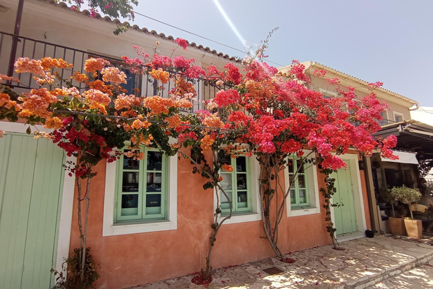 From Nydri: Boat to Kefalonia and Ithaki with Swim Stops