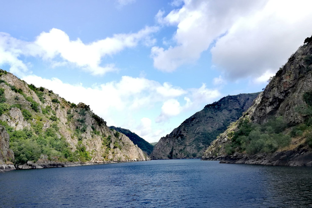From Santiago: Excursion to Ribeira Sacra and Ourense