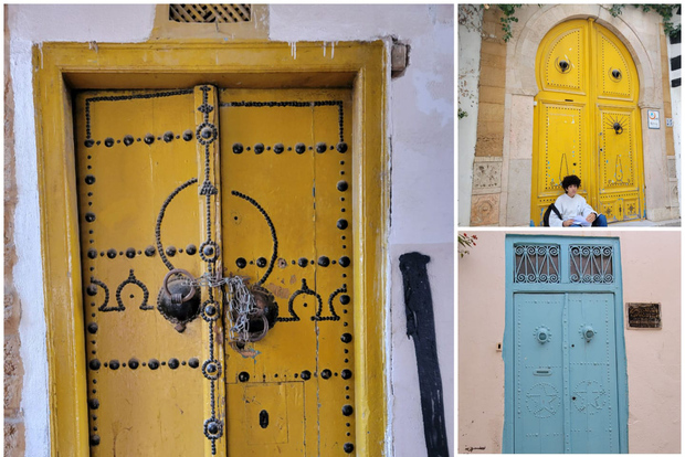 Da Hammamet: tour guidato di un giorno alla scoperta delle attrazioni imperdibili di Tunisi