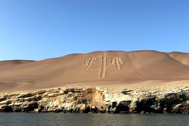 Desde Paracas o Pisco: Paseo en barco privado por las Islas Ballestas