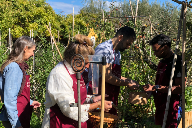 Paciano: Organic Cooking Class at a Farm with Lunch & Wine