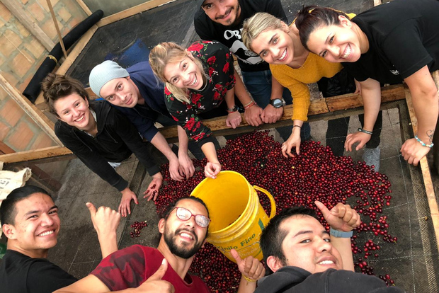 Salento: Tour della fattoria del caffè con degustazione