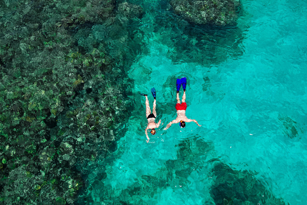 Praslin: escursione in barca di un'intera giornata a Curieuse e St. Pierre con pranzo