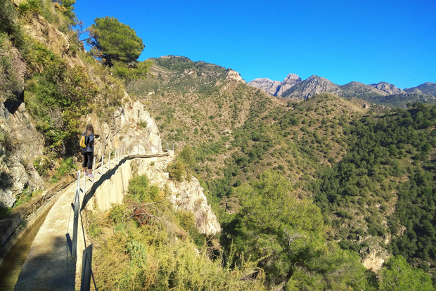 Da Malaga: Escursione a Frigiliana con vino e aperitivi