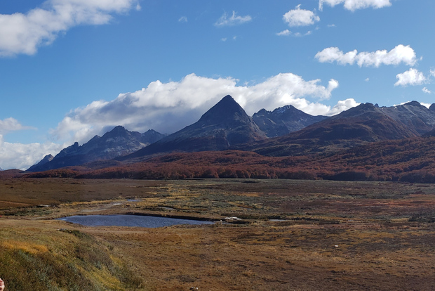 Da Ushuaia: Tour privato del Lago di Fagnano in fuoristrada
