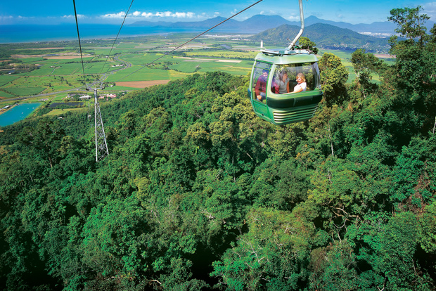 Port Douglas: Foresta Patrimonio dell'Umanità con Skyrail e Scenic Rail