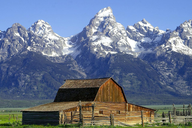 Från Jackson: Halvdagstur till Grand Teton National Park