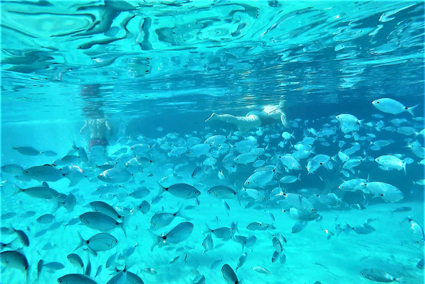 Ibiza: snorkeling e paddle SUP, tour della spiaggia e delle grotte