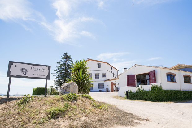 Vilafranca del Penedès:酒庄参观与品尝