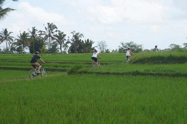 Kuta: Kintamani Culture and Nature Guided Cycling Tour