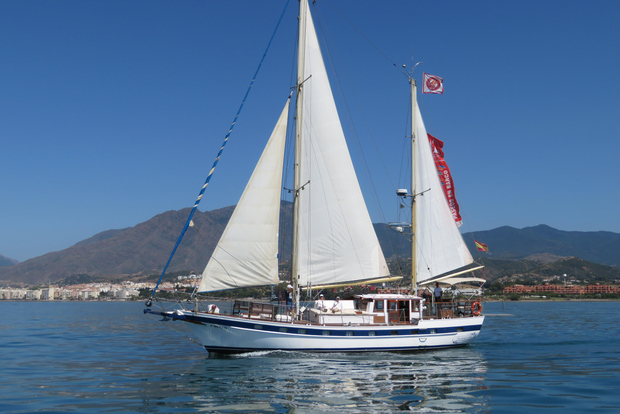 Estepona: Delfinskådning Segelbåtskryssning med dryck