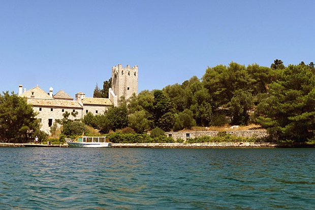 Da Dubrovnik: tour guidato di un giorno in catamarano dell'isola di Mljet