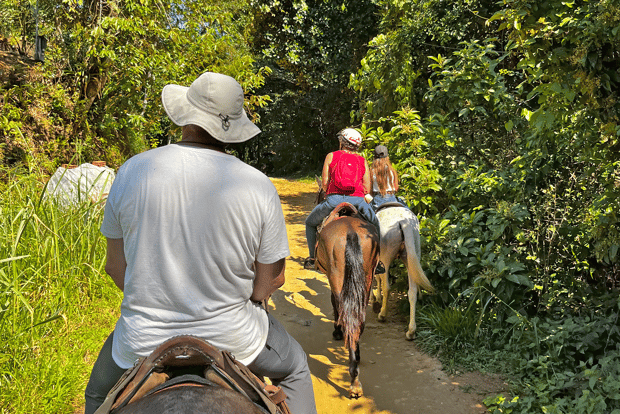 Paraty: 3-Hour Rainforest Horseback Ride