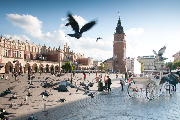 Krakow: Old Town Private Guided Walking Tour