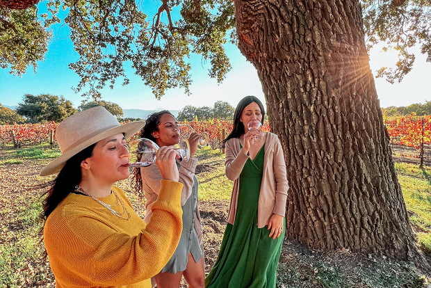 Santa Ynez: Tour del paese del vino