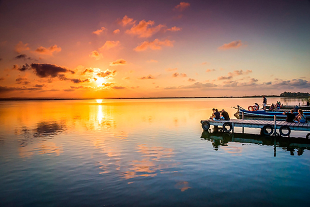 Da Alicante: centro storico di Cullera e parco naturale dell'Albufera