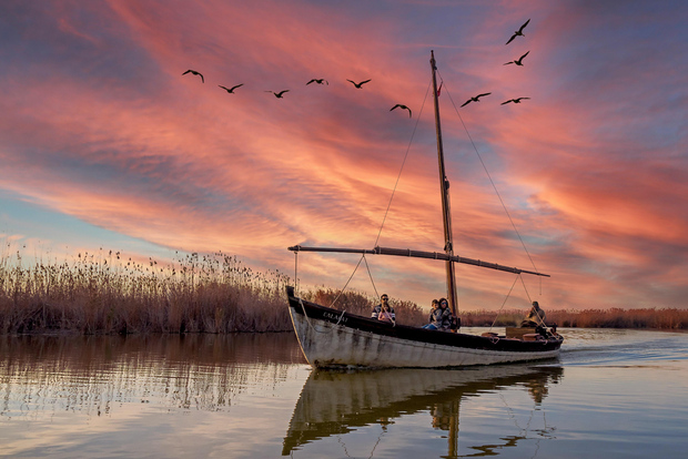 Da Valencia: Centro storico di Cullera e Parco Naturale dell'Albufera