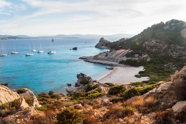 La Maddalena: afternoon snorkeling tour from Porto Pollo