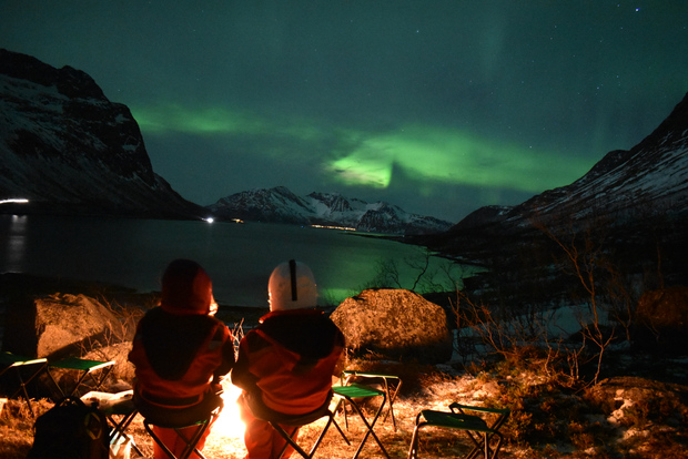 From Svolvaer: Northern Lights Private Tour