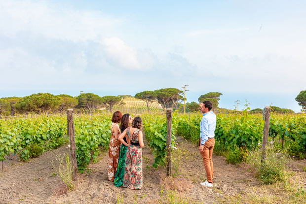 Toscana: Ripalte Design Winery vin- och ostprovningstur