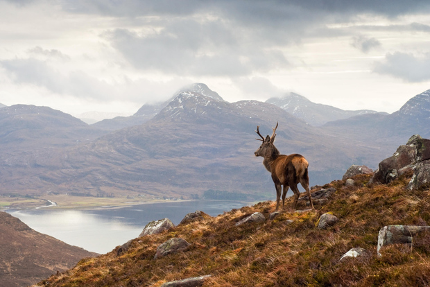 Applecross, Loch Carron & Wild Highlands Tour from Inverness