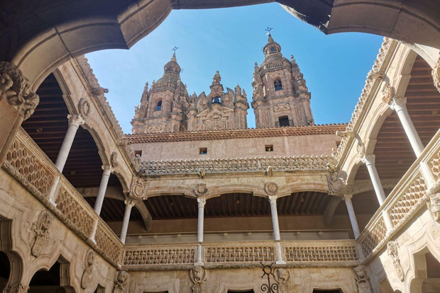 Salamanca: Monuments and Landmarks Guided Walking Tour