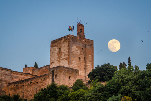 Tour privato dell'Alhambra con i Palazzi dei Nazaridi