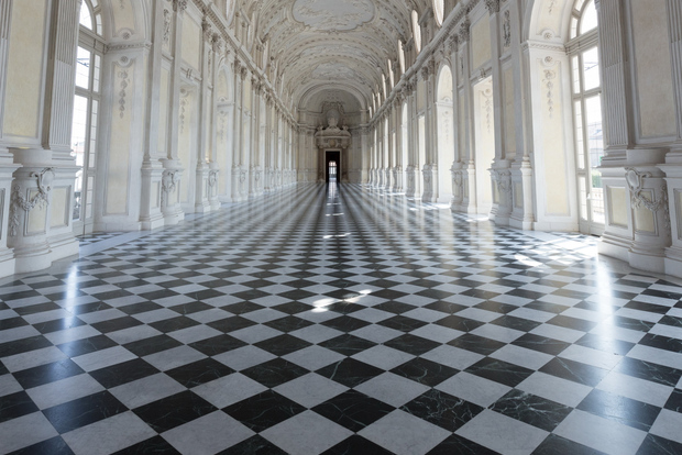 From Turin: La Venaria Reale Private Tour with Entry Ticket