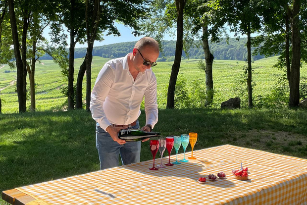 Paris: Privat Epernay-resa med provsmakning av Champagne-vingårdar