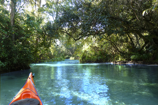 Orlando : Excursion en kayak en petit groupe à Rock Springs Run