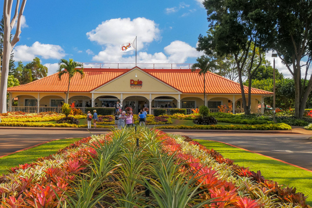 Oahu: Oahu Ultimate Grand Circle Island Tour