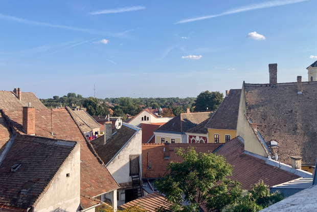 Szentendre: tour delle arti e dei caffè (tour di mezza giornata privato)