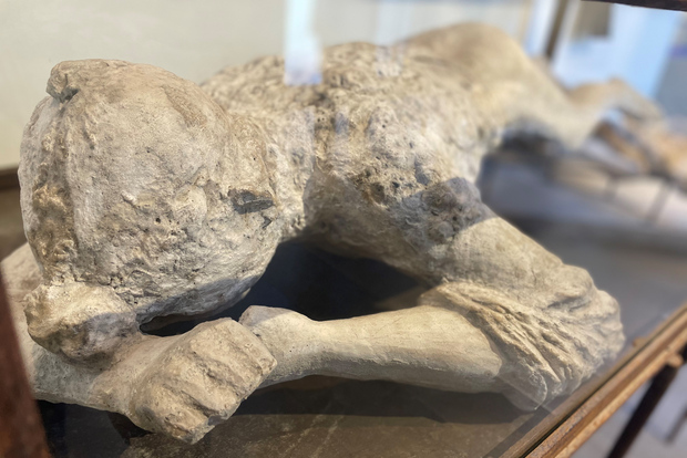 Pompeii: Guided Tour with Archaeologist with max. 12 People