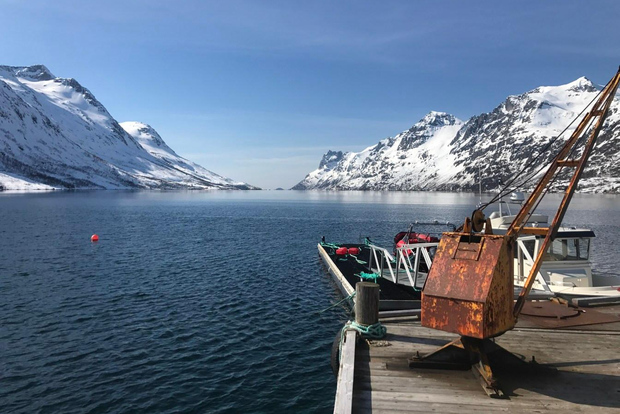 Tromsø: Private Yacht and Minivan Fjord Tour with Hot Drink