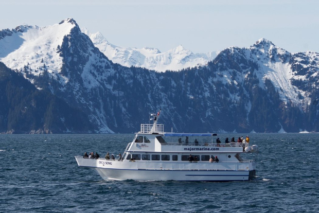 Seward: Spring Wildlife Guided Cruise with Coffee and Tea