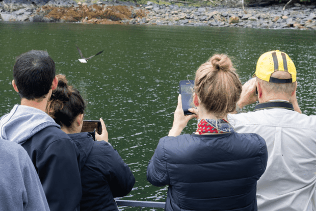 Ketchikan: Wilderness Boat Cruise and Crab Feast Lunch