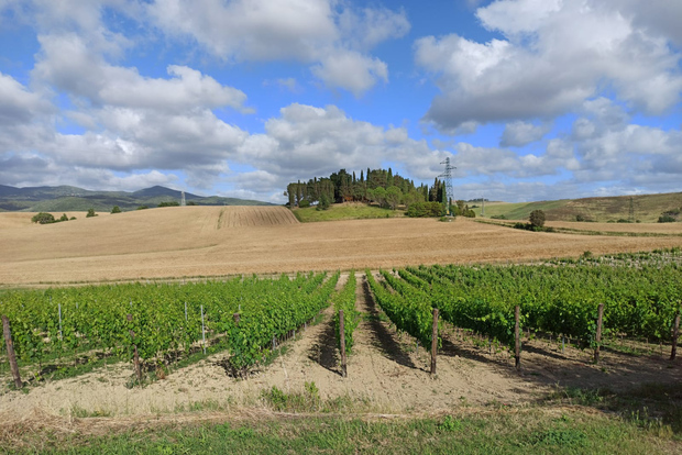 From Florence: Chianti Afternoon Tour with 2 Winery Tastings