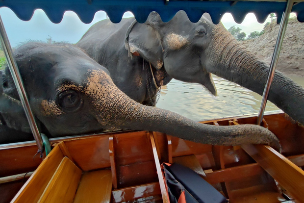 Bangkok: Gita privata ai templi di Ayutthaya e al mercato notturno