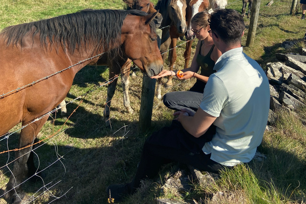 From Doolin: Cliffs of Moher Guided Coastal Walk