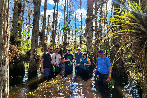 Ab Miami: Everglades-Tour mit Wet Walk, Bootsfahrten & Mittagessen