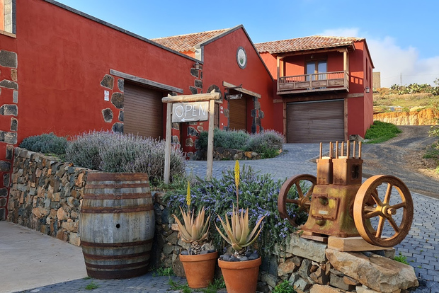 Fuerteventa: gita di mezza giornata alle grotte dei pirati di Ajuy e alla fabbrica di aloe